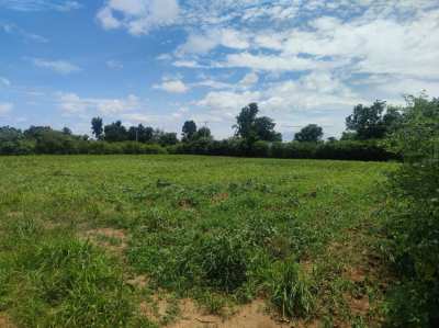 Land Kanchanaburi For Sale : Boploy 14-3-72 rai, Nice Land.