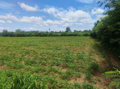 Land Kanchanaburi For Sale : Boploy 14-3-72 rai, Nice Land.