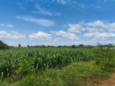 Land Kanchanaburi For Sale : Boploy 14-3-72 rai, Nice Land.