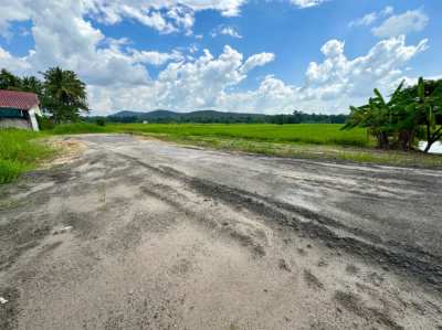 350 sqwah(just under 1 rai) prime land with mountain views