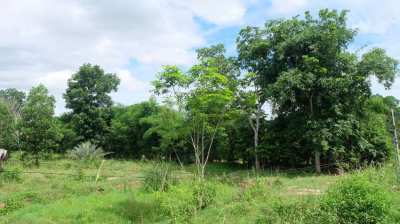 COUNTRY RETREAT/FARM LAND FOR SALE - RENT