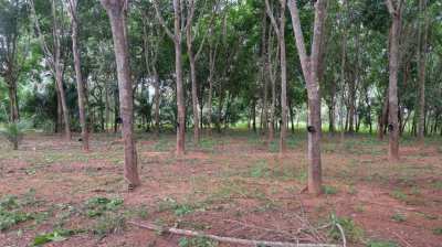 COUNTRY RETREAT/FARM LAND FOR SALE - RENT