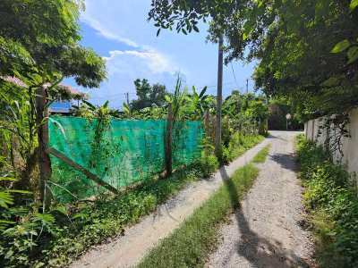 Hot! 100 TW Home Building Plot - Located Between Soi 88 and Soi 94 