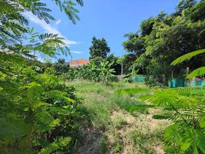 Hot! 100 TW Home Building Plot - Located Between Soi 88 and Soi 94 