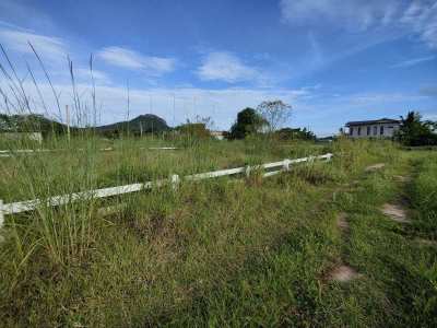 351 TW For Sale - Two Adjacent Home Plots of 179 TW and 172 TW