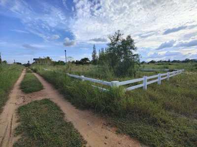 351 TW For Sale - Two Adjacent Home Plots of 179 TW and 172 TW