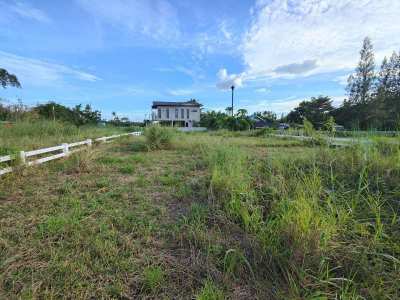 351 TW For Sale - Two Adjacent Home Plots of 179 TW and 172 TW