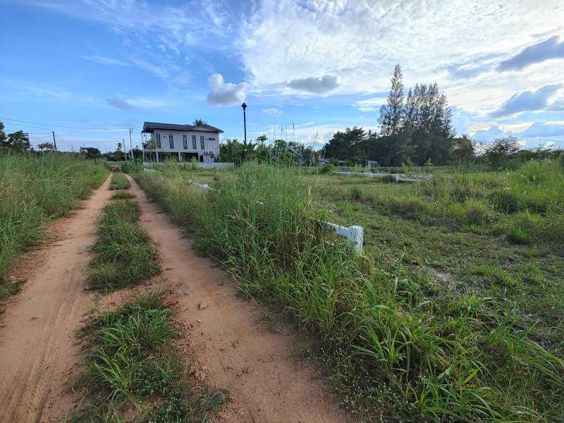 351 TW For Sale - Two Adjacent Home Plots of 179 TW and 172 TW