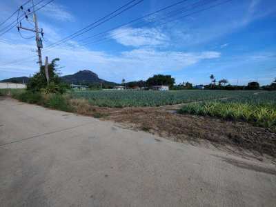 Priced For Quick Sale!  9-0-0 Rai Nice Land Plot For Home Development