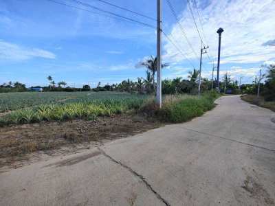 Priced For Quick Sale!  9-0-0 Rai Nice Land Plot For Home Development