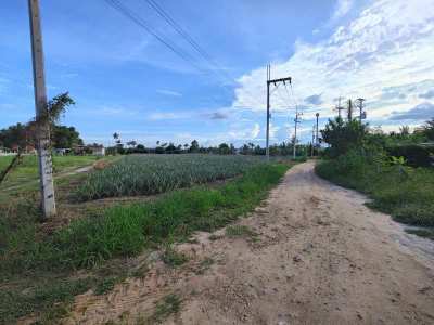 Priced For Quick Sale!  9-0-0 Rai Nice Land Plot For Home Development