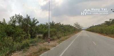 #1647 300rai Oil Palm Farm on Main Road