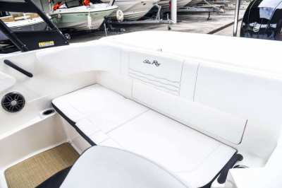 Sea Ray 190 SPX 