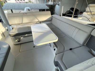 Sea Ray 250 SDX