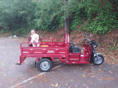 Champ 150 CC Mini Truck