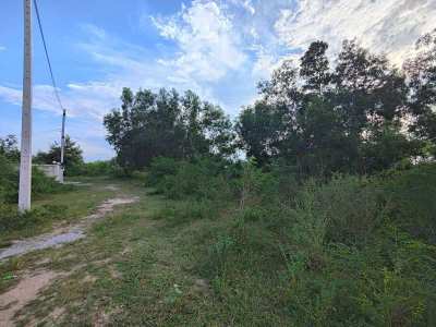 Priced For Quick Sale! 2-0-74.9 Rai Ideal Land to Build Several Homes!