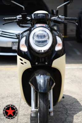 Honda Scoopy Urban