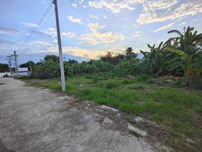 100 TW (400 sqm.) Front Main Road Plot - Ideal Land For Home Business 