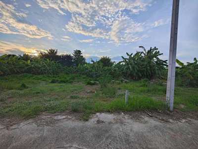 100 TW (400 sqm.) Front Main Road Plot - Ideal Land For Home Business 