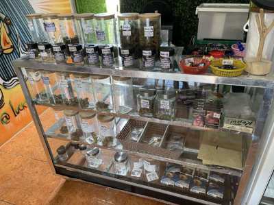 Cannabis authentic shop from Kog Samui, Thailand