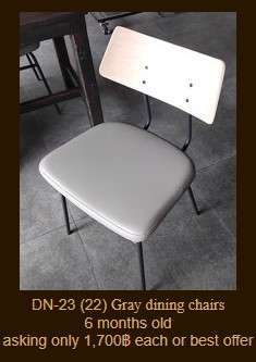 DN-23 เก้าอี้เบาะเทา