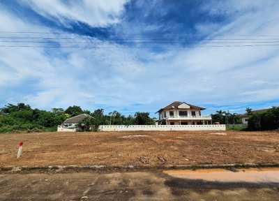 Ideal Land Investment in Pak Nam Pran (41347)