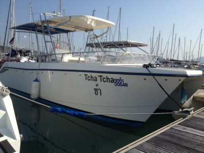 BARGAIN AUSTHAI 800  CATAMARAN POWER BOAT VERY GOOD CONDITION