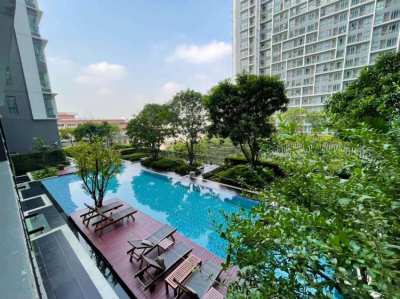 IDEO MOBI Sukhumvit 81 Condo Pool View 1 Bedroom Unit for Rent