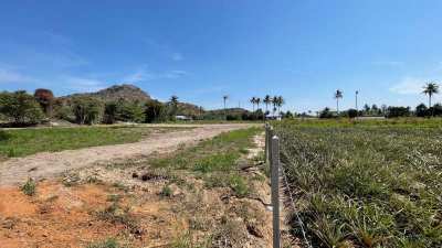 Fenced Mountain View 3-0-0 Rai - 75 Meters Govt. Cement Road Frontage 