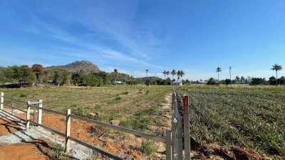 Fenced Mountain View 3-0-0 Rai - 75 Meters Govt. Cement Road Frontage 